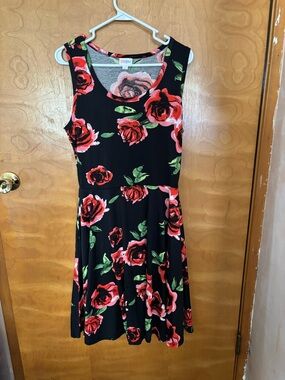 Lularoe Floral Sleeveless Black & Red Rose Fit-and-Flare Dress